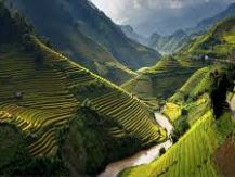 DRAGONES DE ASIA-VIETNAM-CAMBOYA & TAILANDIA 